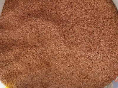 11dabba3b32fdd964459384becf1545a 牛八体育 - 与球迷合为一体