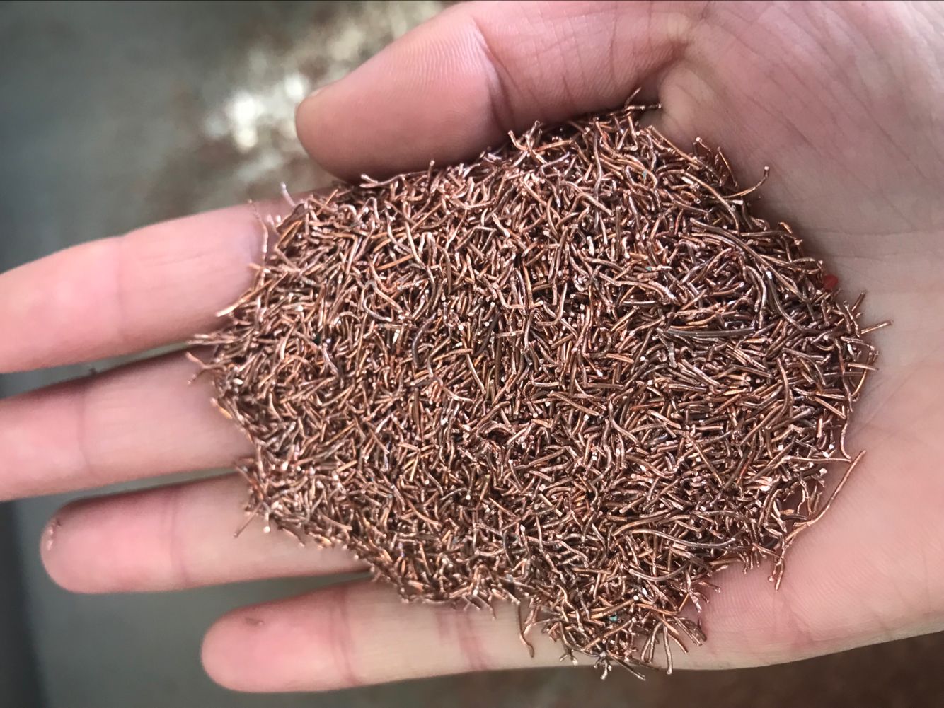 ţ������ - �����Ժ�Ϊһ��