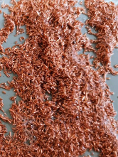 ţ������ - �����Ժ�Ϊһ��